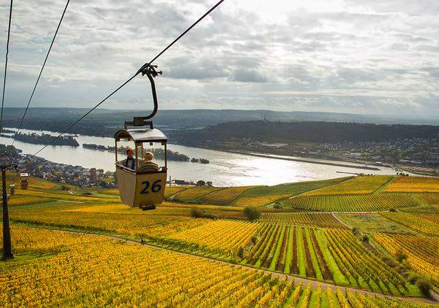 River cruise on the Rhine and Moselle, gondola over Rudesheim vineyards
